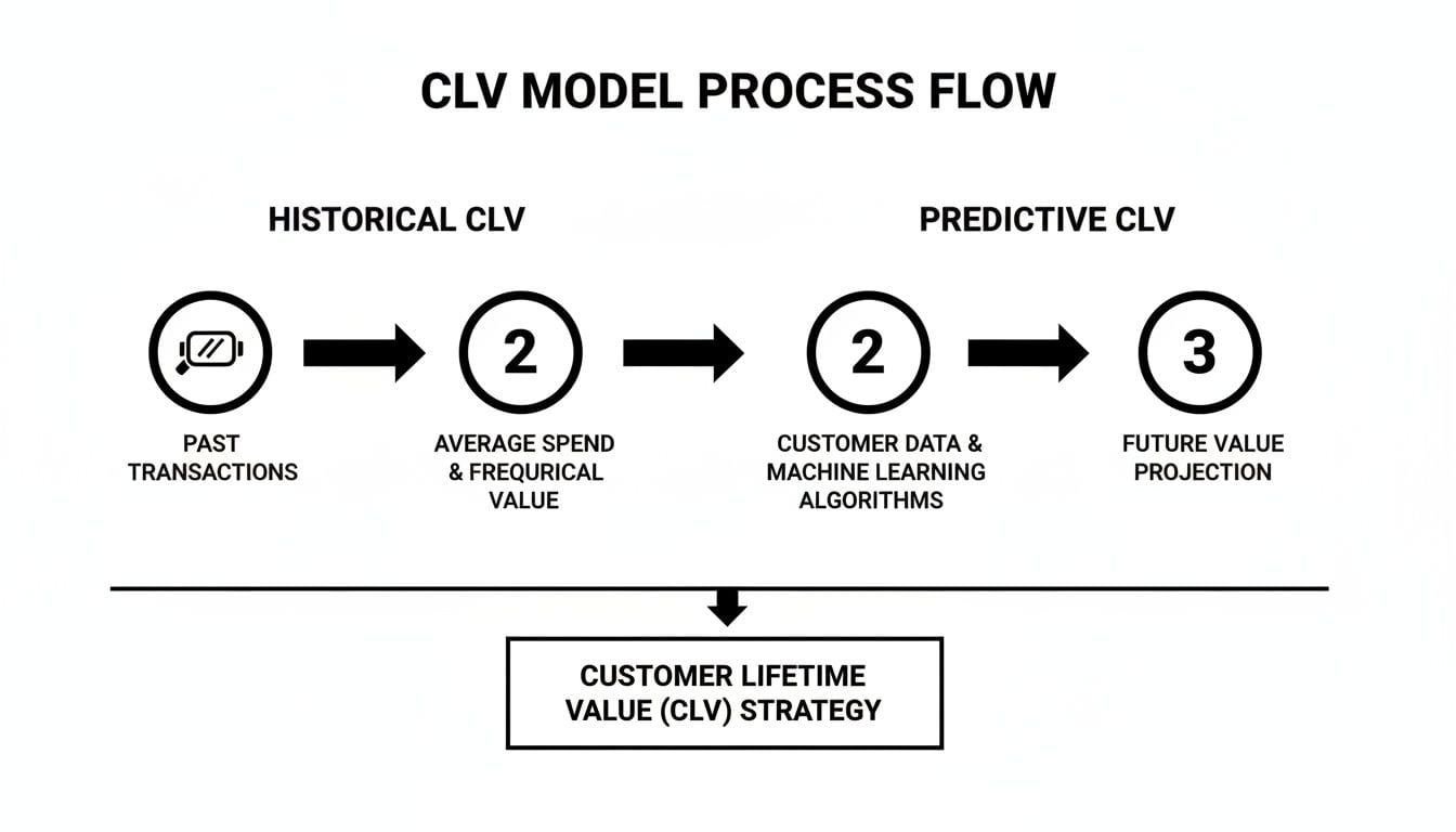 CLV model process flow diagram from past transactions to future value projection for strategy.